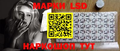 spice Новодвинск