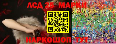 spice Новодвинск