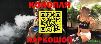 spice Новодвинск