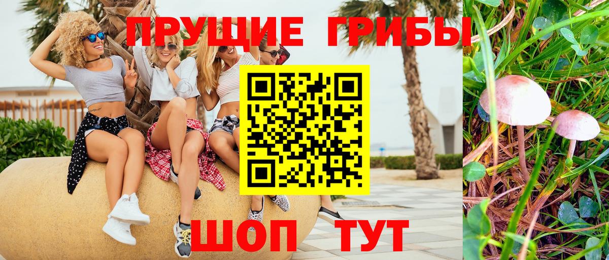 Псилоцибиновые грибы Magic Shrooms  Вход с VPN  Сухой Лог  Псилоцибиновые грибы ЛСД 